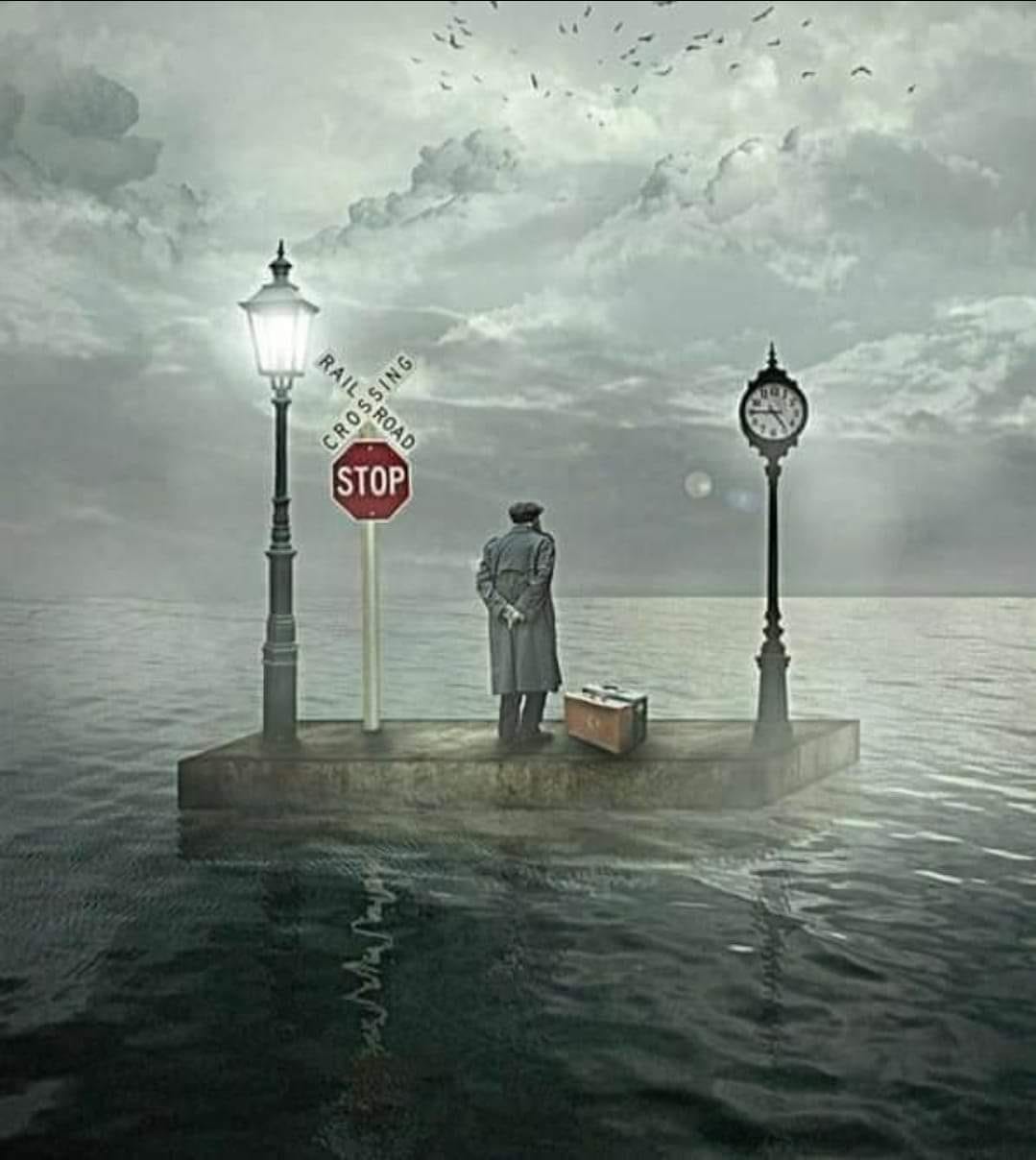 111971-212432246_1172716286553860_4776375918241273931_n